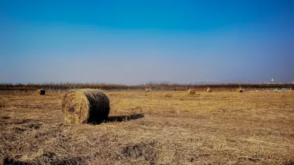 Winzinator Casino Mobile App